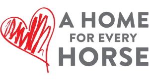 A home for Every Horse - Equine Sanctuary A home for Every Horse - Equine Sanctuary