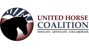 United Horse Coalition - Equine Sanctuary United Horse Coalition - Equine Sanctuary