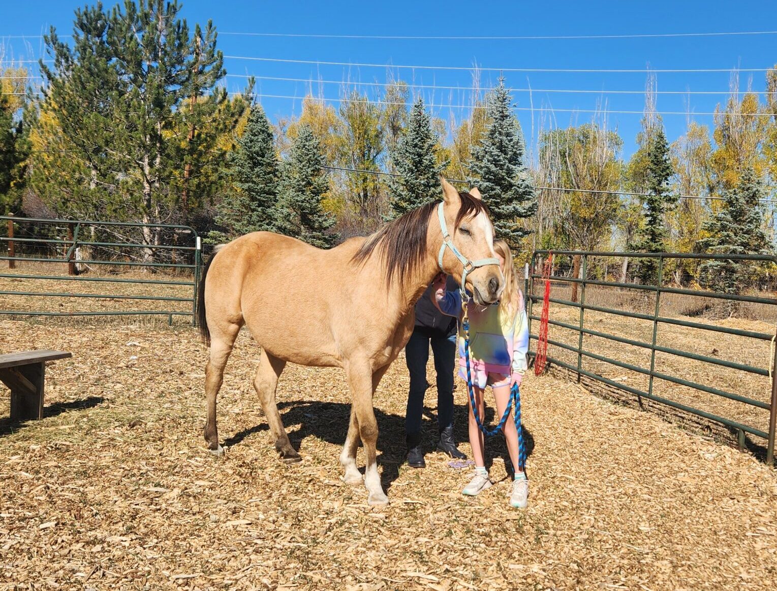 Trusted Equine Sanctuary in Lafayette, Colorado
